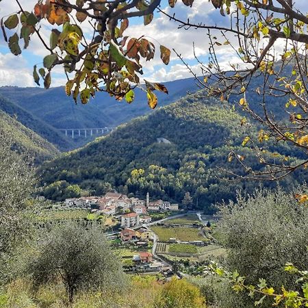 Agriturismo A Ca Du Paiperu Pieve di Teco Zewnętrze zdjęcie