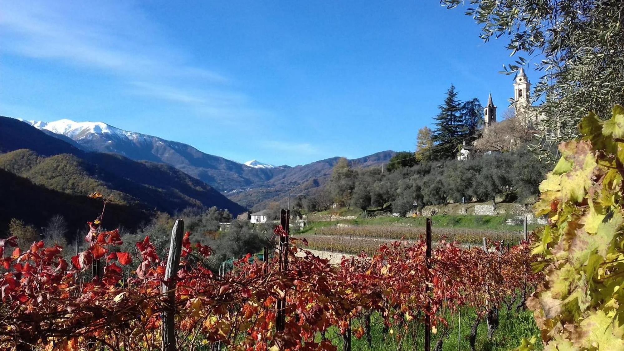 Agriturismo A Ca Du Paiperu Pieve di Teco Zewnętrze zdjęcie